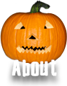 about us pumpkin